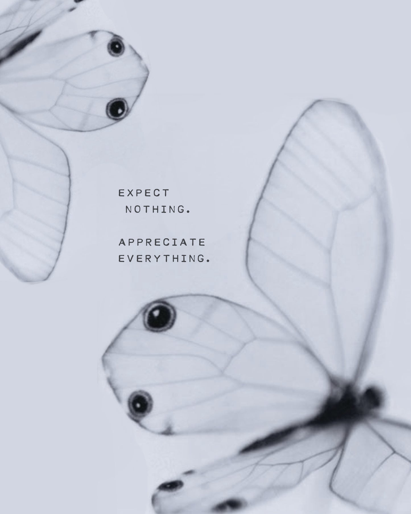 Expect Nothing, Appreciate Everything Quote Art